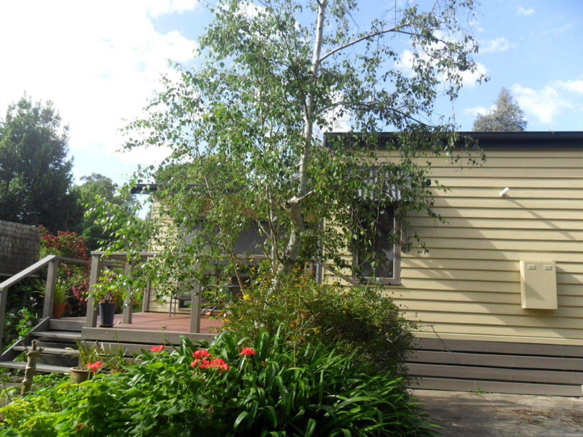 Australian Home Away @ Wonga Park Brushy Creek Екстер'єр фото