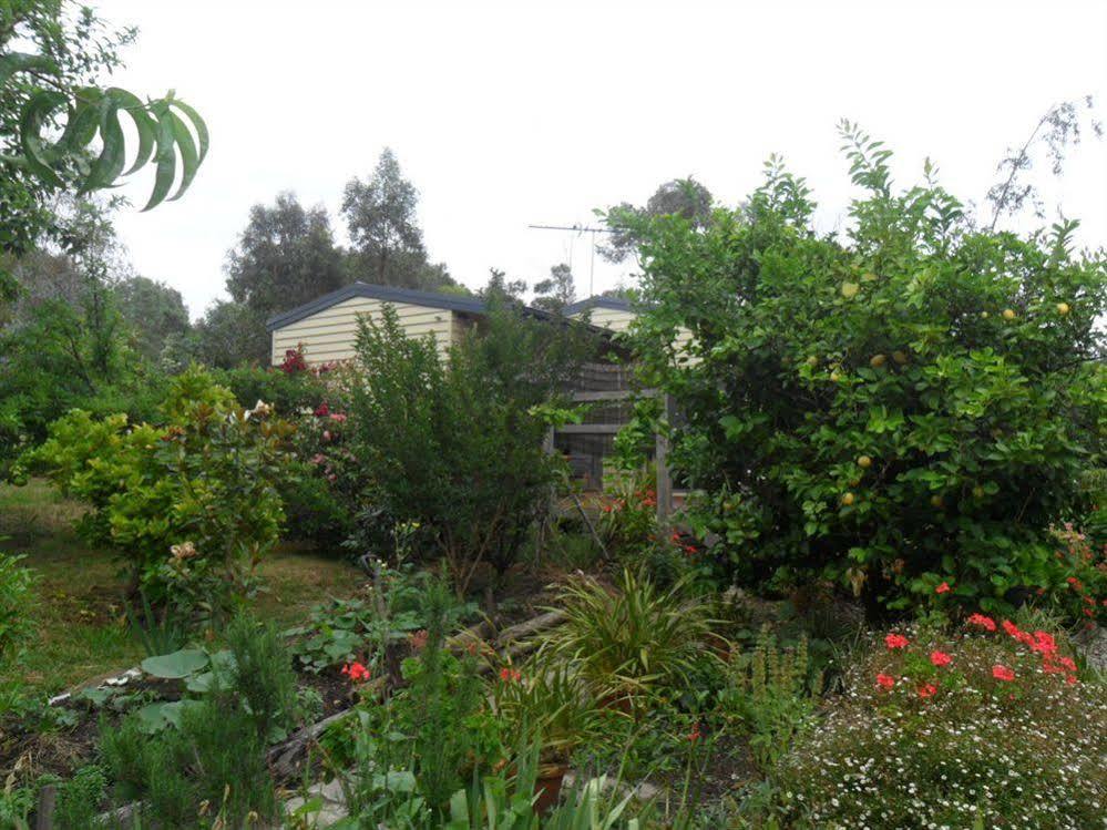 Australian Home Away @ Wonga Park Brushy Creek Екстер'єр фото